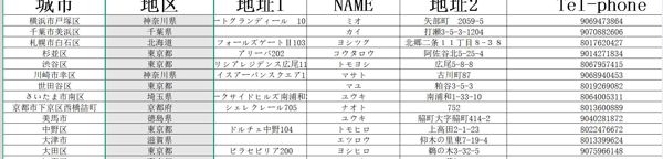 日本车主信息1008条