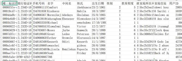 尼日利亚贷款1000条