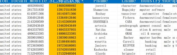 美国领英信息5001条
