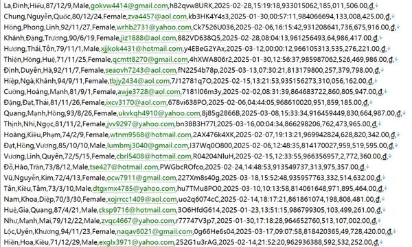 越南国际奢侈品综合电商平台537w用户数据资料 www.vuahanghieu.com