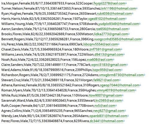 法国巴黎春天奢侈品百货642w用户数据资料 www.printemps.com