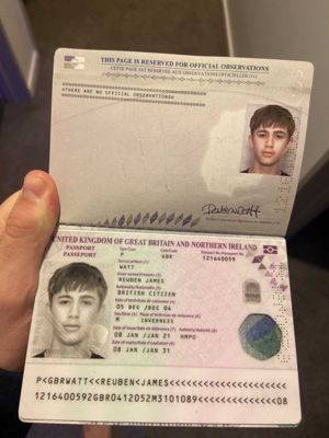 英国护照100个