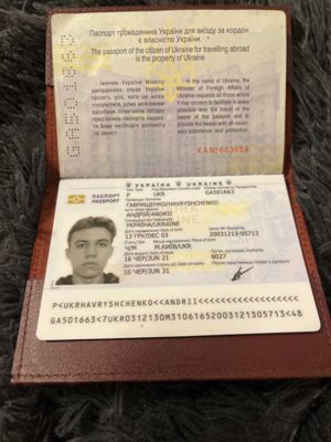 乌克兰护照+自拍24套