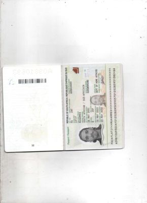 南非护照28个