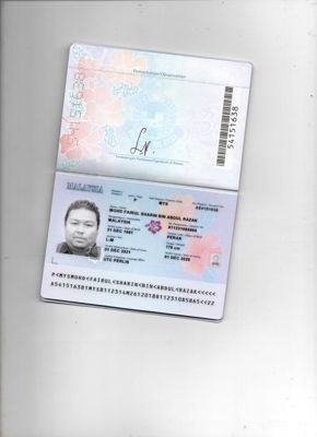 马来西亚护照16个