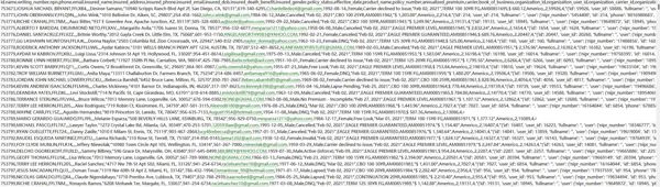 美国ailife人寿保险公司客户数据15w