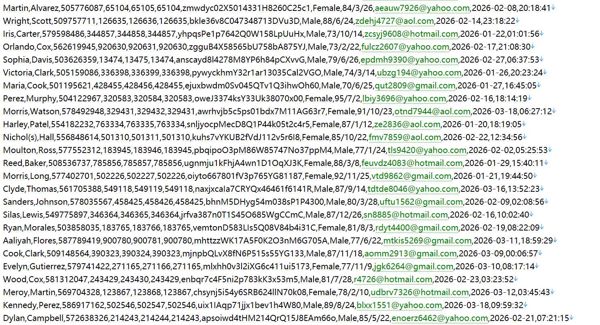 阿联酋 net-a-porter.ae 高端女装奢侈品购物网站588w