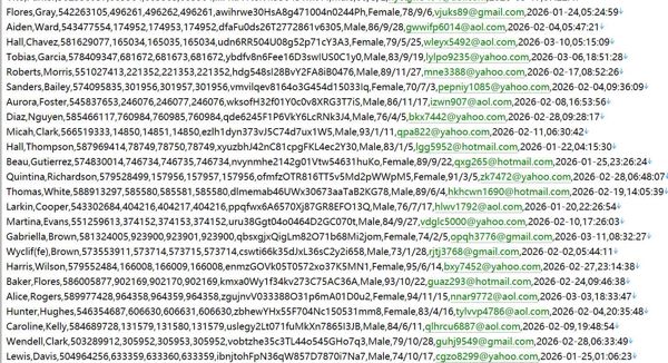 阿联酋 levelshoes.com 奢侈鞋履箱包配饰网站551w