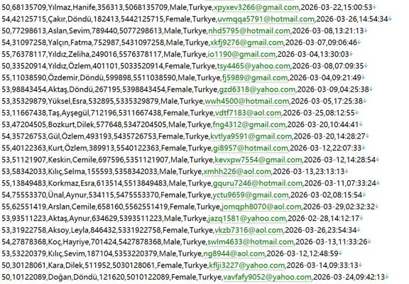 土耳其 Borsa 伊斯坦布尔交易所 www.borsaistanbul.com 股票交易官网494w