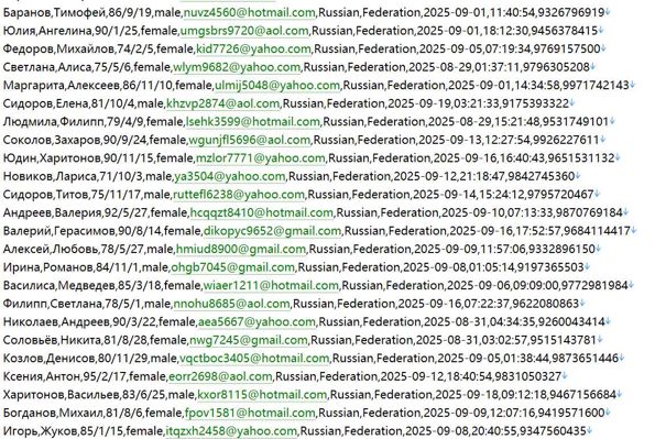 俄罗斯国家证券存管 www.nsd.ru 结算存管官网582w