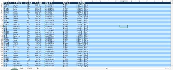 【韦博英语家长数据12W】学生教育培训数据K12数据学生数据学生家长数据（AA数据清单）