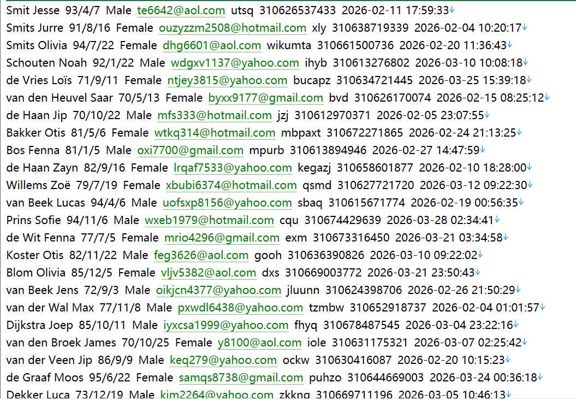 荷兰 internationaalvastgoed.nl 海外置业网（客户信息）706w