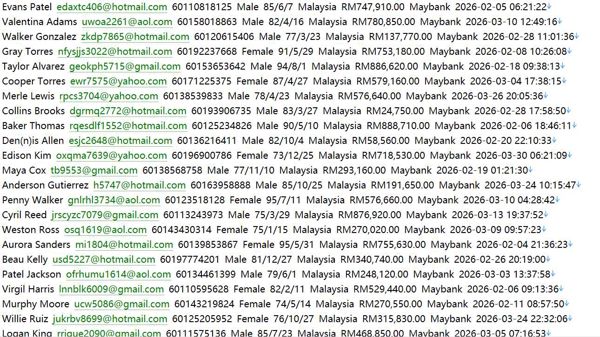 马来西亚 realestate.com.my 本土置业网（客户信息）514w