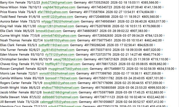 德国 deutsche-wohnagentur.de 德国房产网（客户信息）532w