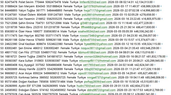汇率查询506w 土耳其 doviz.com doviz.com 用户数据资料