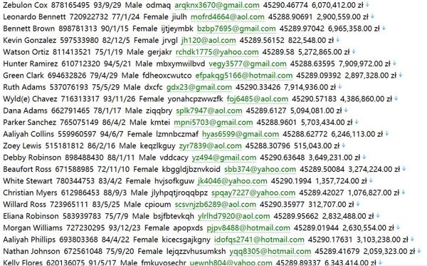 波兰主流在线支付服务商622wPrzelewy24官网 www.przelewy24.pl：用户数据资料