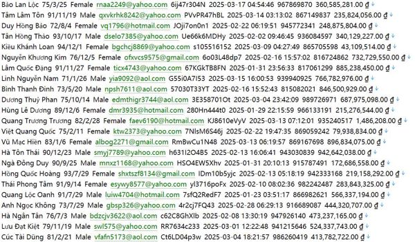 （TheDotMagazine）线上奢华生活人群683w.越南用户数据