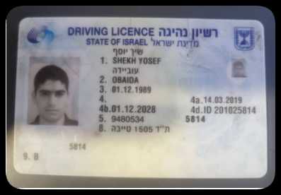 以色列驾照48套ISRAEL WORK