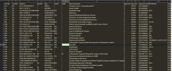 字段包含：stcode,country,address,gender,city,prefix,suffix,taxonomyname,typecode,zipcode,taxonomycode,credential,npinam