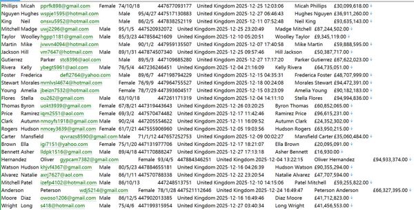 英国Story牧场物语个人数据588W