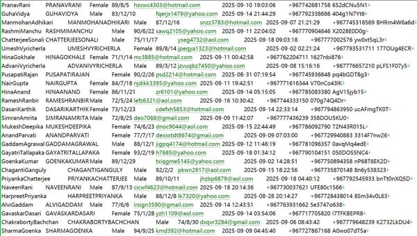 也门incentives房地产房主登记数据信息546W