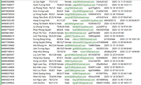 越南Singvin投资市场信息577W