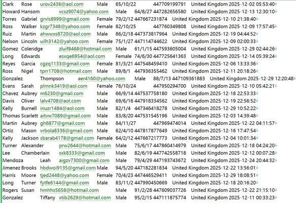 英国HM Treasury投资管理体制572W