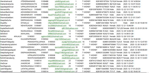 印度尼西亚Python高薪工作岗位要求572W