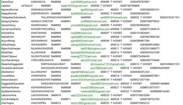 印度尼西亚Bibit金融投资用户566W