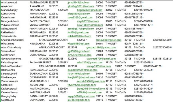 印度尼西亚(Ajaib)新手股票投资用户个人信息491W.
