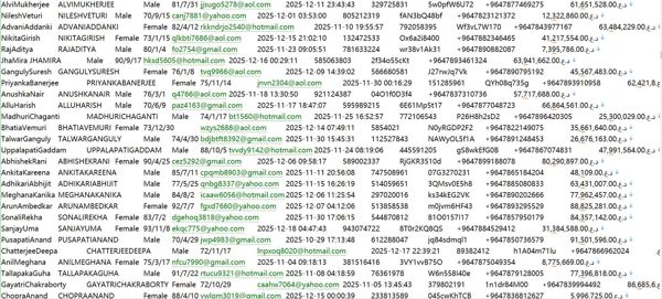 伊拉克証券交易所（ISX）485W