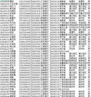 中国银行卡29W(CC数据)