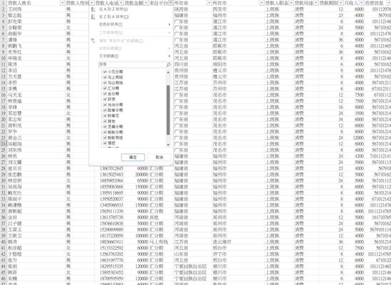 国内大额贷款客户 1-100