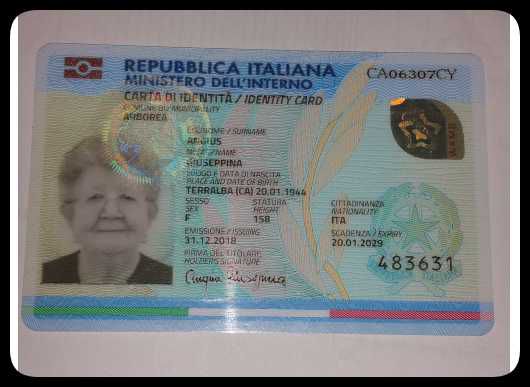意大利正反+手持+自拍120套itali id front back selfie