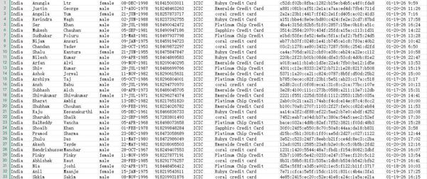 本次出售印度最大商业银行ICIC信用卡数据，数据来源技术渗透提取，重复以过滤，全部格式，格式见图，拍后自动发货，独家出售，禁止倒卖，禁止白嫖，懂得速来！