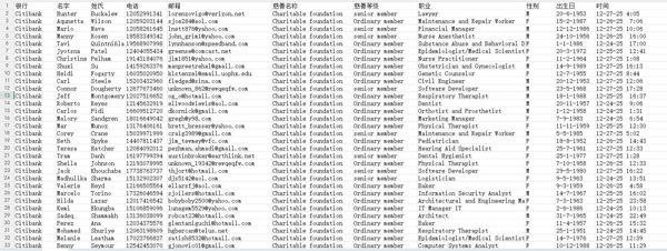 新品上线，美国花旗银行慈善基金会会员，格式见图所示，首次渗透数据，全网首发，无重复，全格式，拍后自动发货，高质量数据，不懂可以留言！
