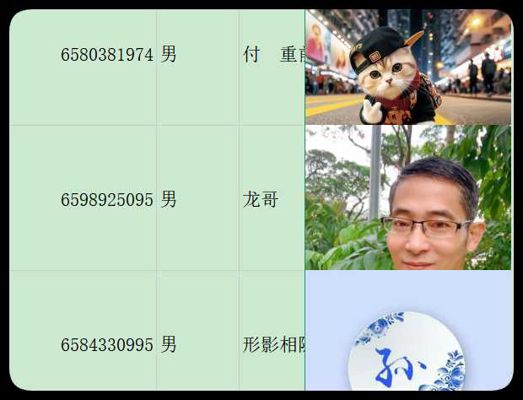 新加坡华侨有电话，有微信490条