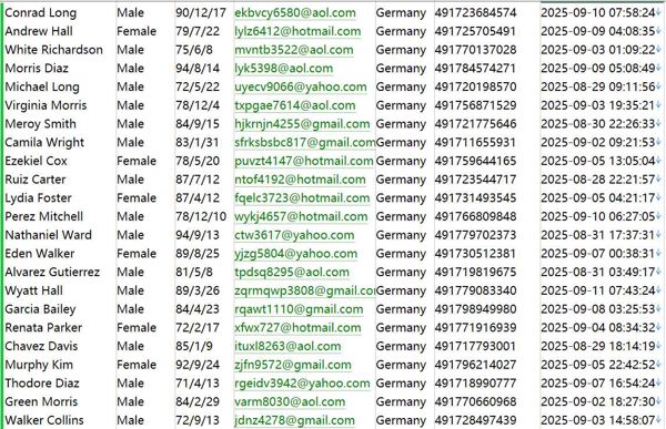 德国🇩🇪求职httpswww.stepstone.de653w