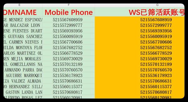 墨西哥Mexico_墨西哥城_高消费_WS已筛活跃账号_3196条