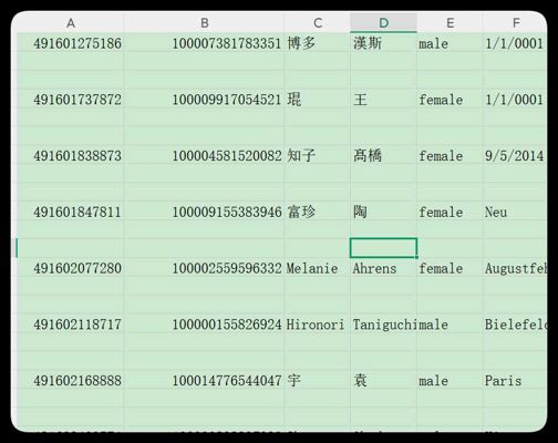 德国华侨1000(魃) (6)