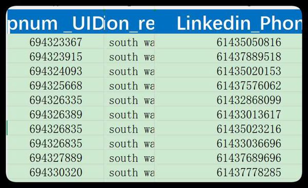 澳州_澳大利亚（Australia）_领英Linkedin_WS已筛活跃账号2505条_9