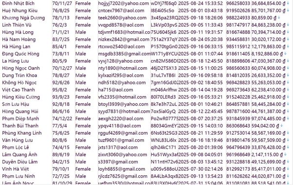 越南（VPBank）盛旺商业股份银行个人信息762w带余额