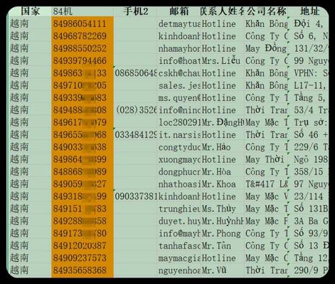 越南企业200   2025.10