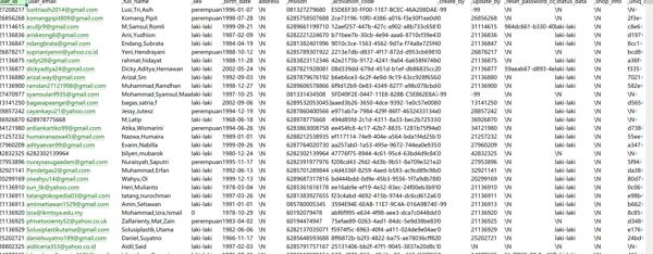 印尼网购数据4951k带站点，包含年龄等