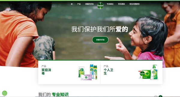 印度滴露dettol购物用户数据-43万