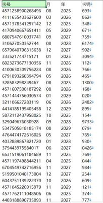 CVV卡到期时间25年-29年-1062万-以去重