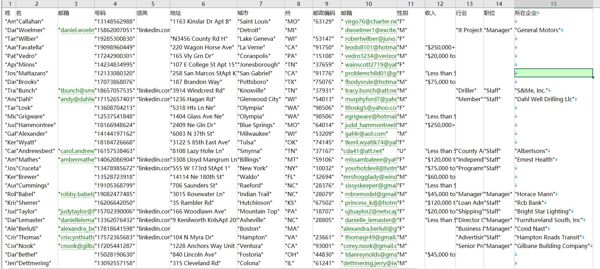 目标站点： https://www.kkr.com/
插入信息：姓,名,邮箱,号码,领英,地址,城市,州,邮政编码,邮箱,性别,收入,行业,职位,所在企业