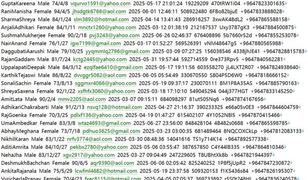 伊拉克🇮🇶电器购物httpswww.amal.com320w