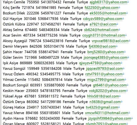 土耳其🇹🇷本土购物httpseshopsturkiye.com380W