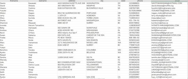 在美日本人,数量193k，网盘极速发货